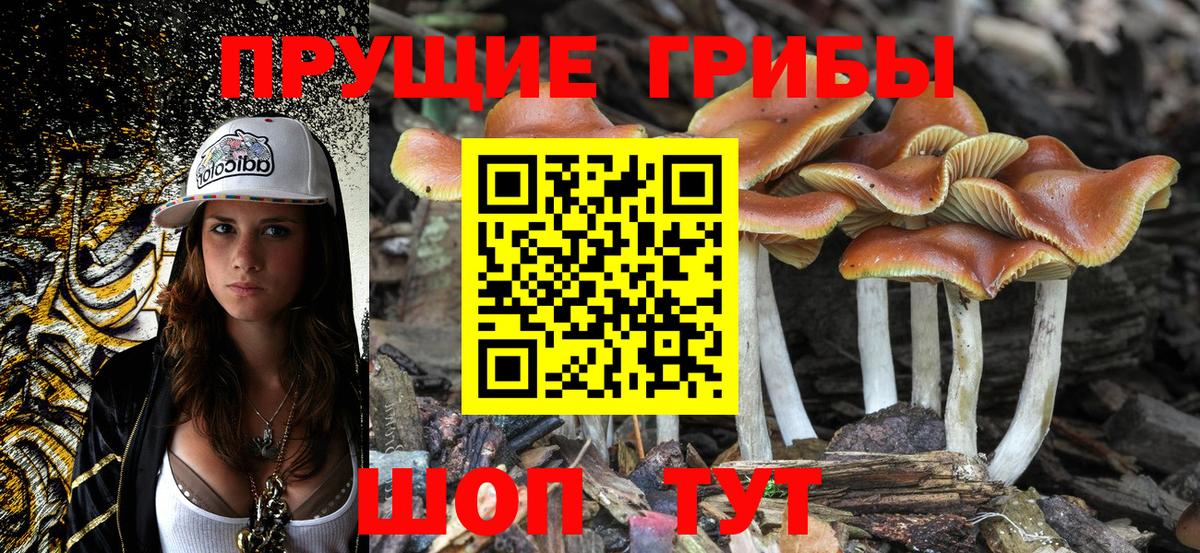 Галлюциногенные грибы GOLDEN TEACHER  Вход с VPN  Псилоцибиновые грибы Psilocybine cubensis  Нарткала 