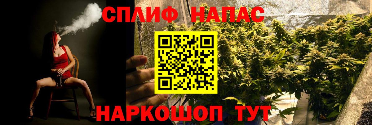 Каннабис Ganja  Каннабис планчик  Нарткала  Канабис конопля  Вход с VPN 